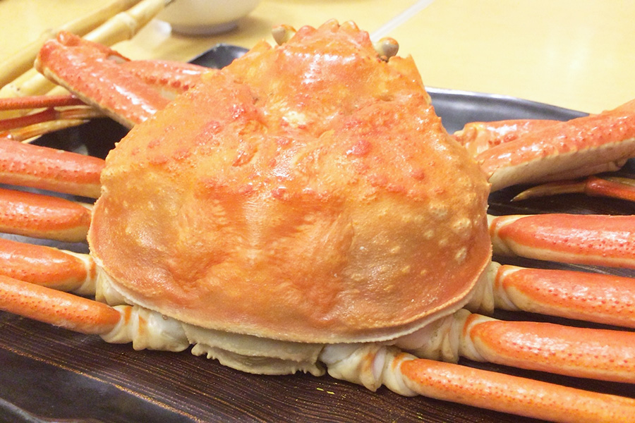 活漁+冷凍姿ガニ